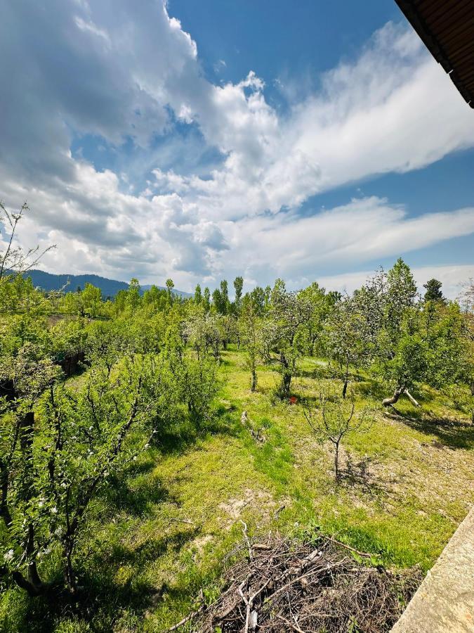 Sheen Homestay Gulmarg Kültér fotó