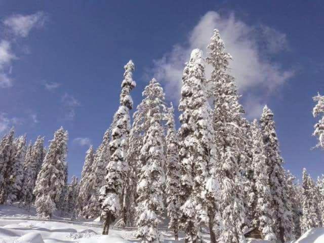Sheen Homestay Gulmarg Kültér fotó